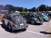 Beetle Show Rioz (91)